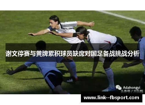 谢文停赛与黄牌累积球员缺席对国足备战挑战分析