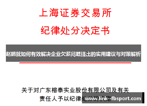 赵鹏就如何有效解决企业欠薪问题提出的实用建议与对策解析 赵鹏就如何有效解决企业欠薪问题提出的实用建议与对策解析